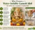 water-soluble Ganesh idol in India